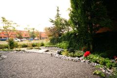 IMG_9096-Medium