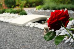 IMG_9170-Medium