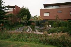 IMG_9193-Medium