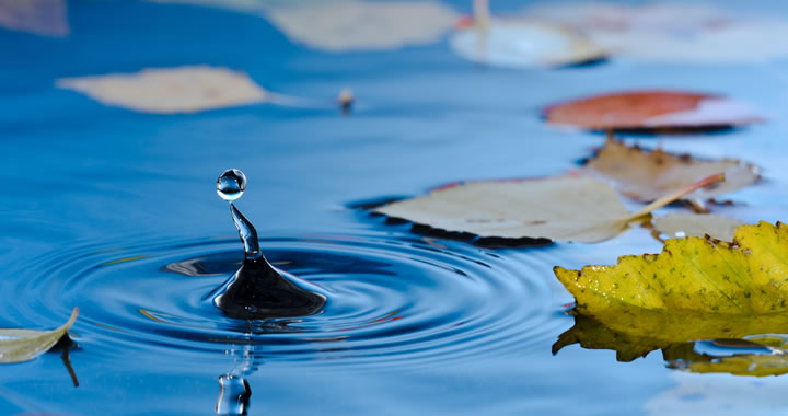 November: tuinonderhoud