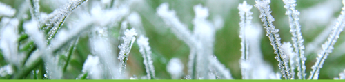 December: tuinonderhoud